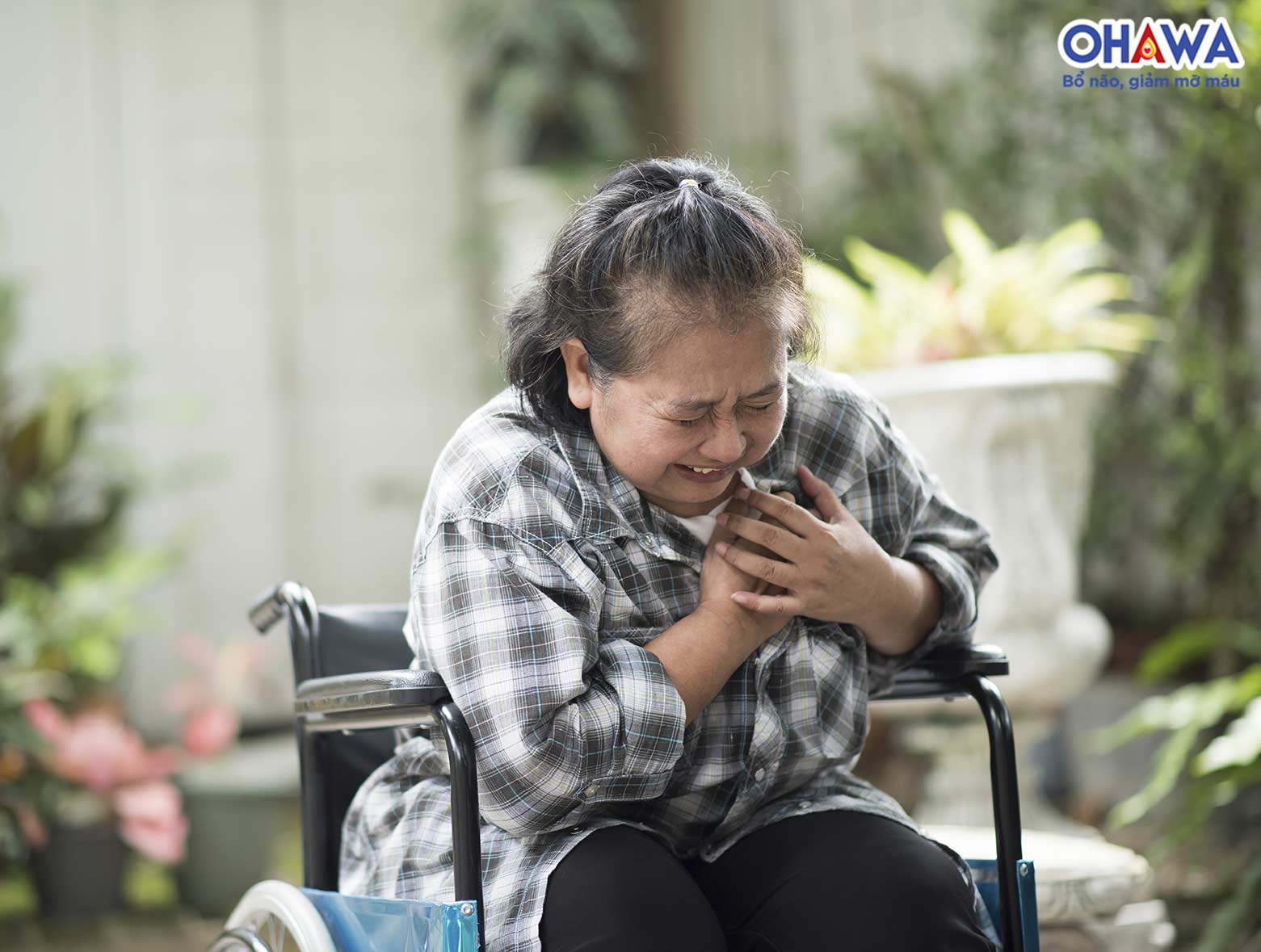 Bệnh tim mạch là một trong những loại bệnh lý có tỉ lệ tử vong lớn