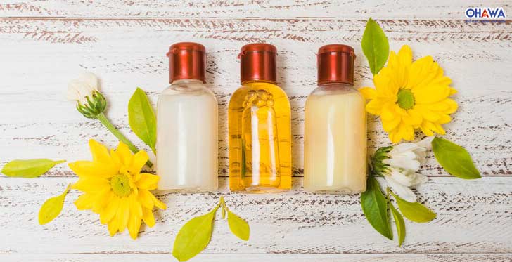 Dầu hướng dương giàu Omega 6 và 9