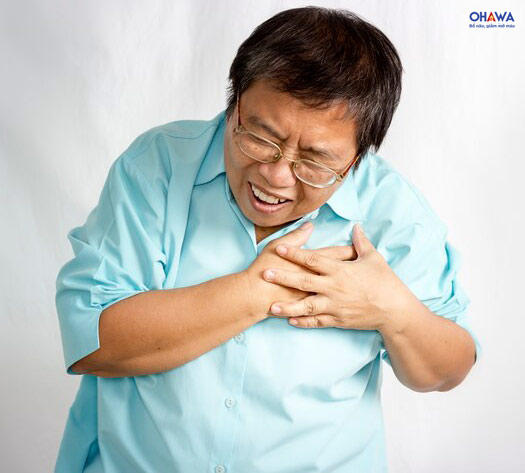 Xơ vữa động mạch là gì?